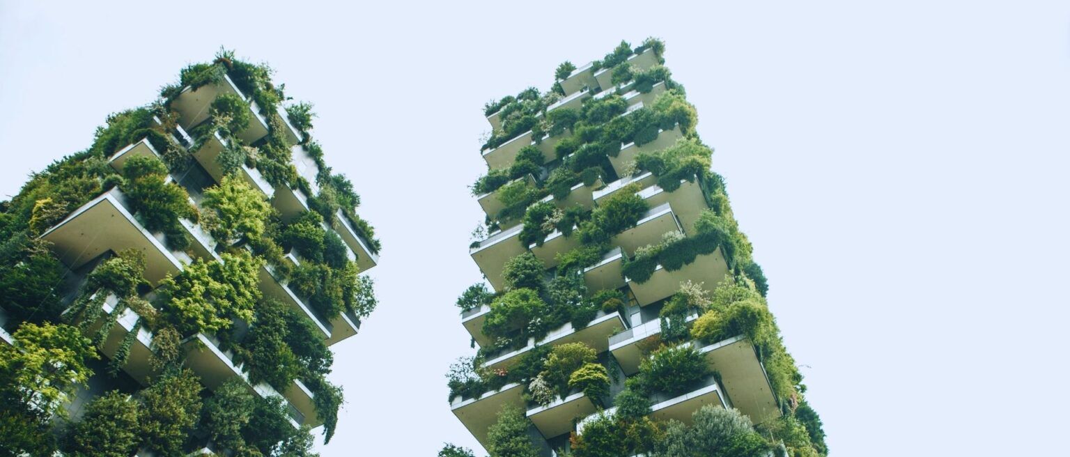 The Build Xperience - Environmental Experience